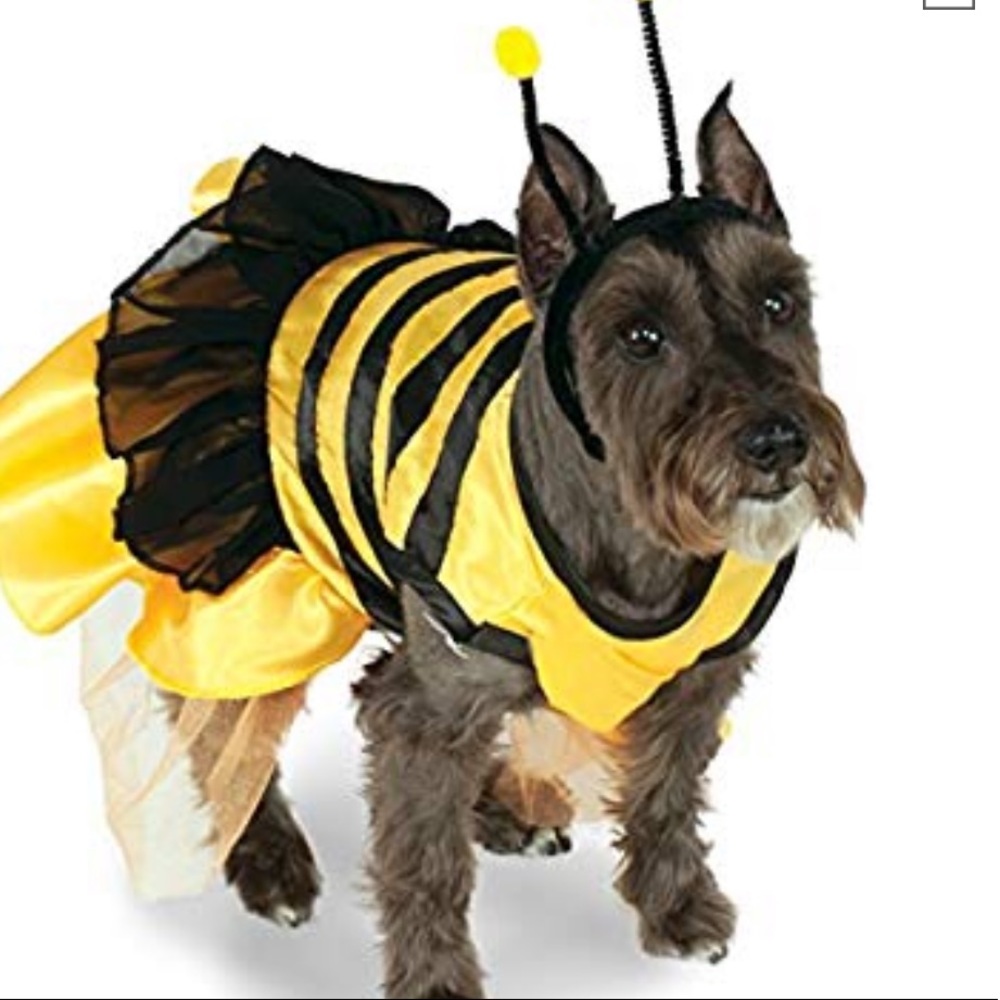 🩵 Bumblebee Pet Costume - Large